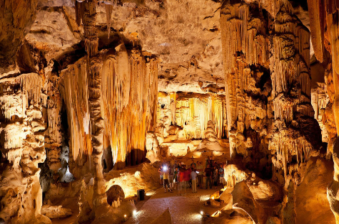 GARDEN ROUTE PACKAGES