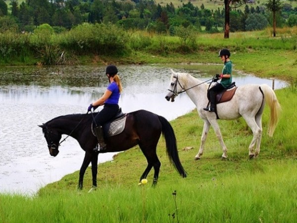 HORSE RIDING