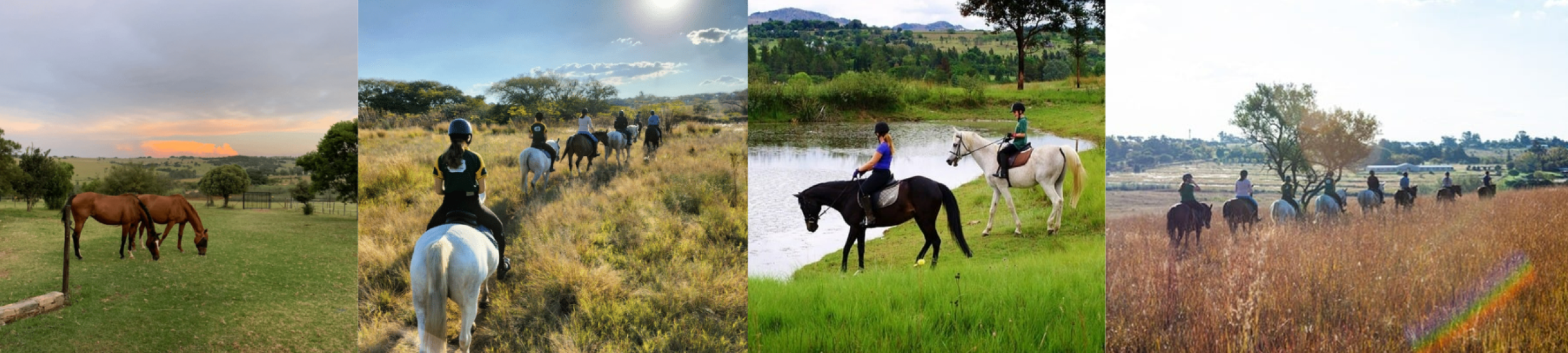 HORSE RIDING