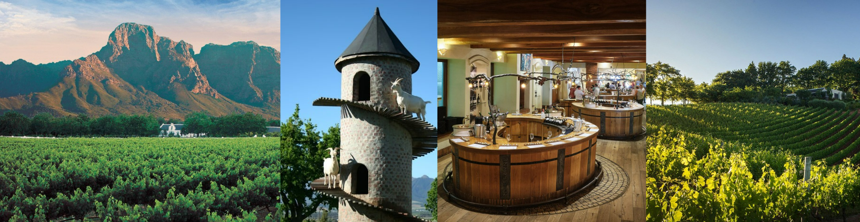 Wine Estates