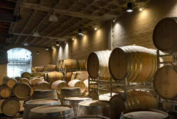 3 CONSTANTIA VINEYARD