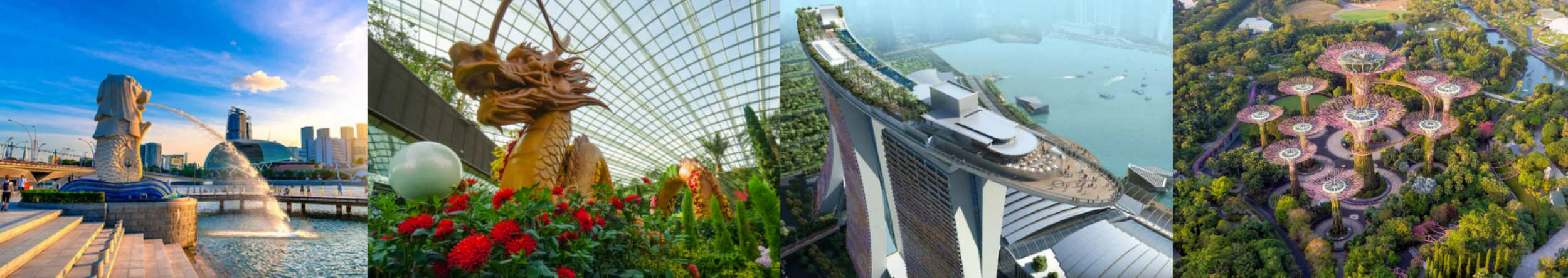 5 DAYS SINGAPORE VIBRANT EXPERIENCE