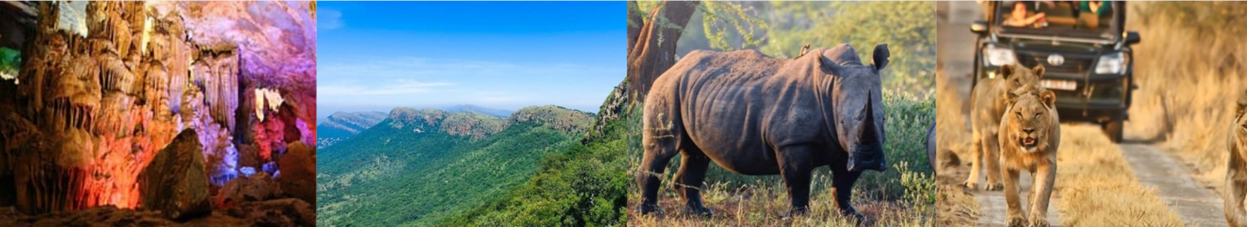 The Bothongo Rhino & Lion Safari Tour